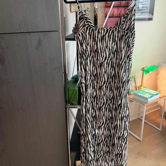 Nasty Gal Zebra Dress - Picture 3 of 3